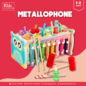 Metallophone Six In One Sensory Activity Toy