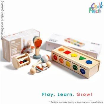 Montessori Wooden Music and Sorting Combo Set