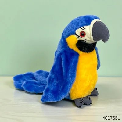 Funtime Play Talking Dancing Parrot Interactive Toy