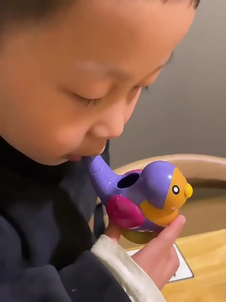 Buy Water Birds Whistle Musical Toy for Kids in Bangladesh