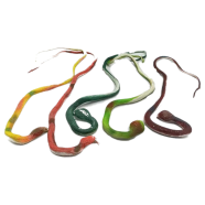 Buy Realistic Fake Rubber Toy Snake in Bangladesh