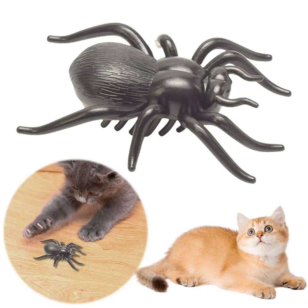 Buy Interactive Electric Vibrating Spider Cat Toy in Bangladesh