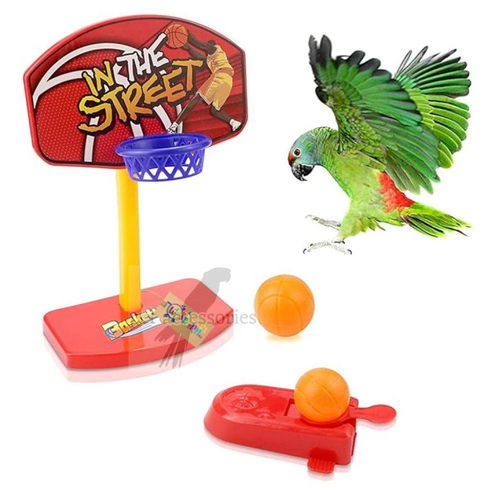 Buy Pet Bird Basketball Toy with Launcher in Bangladesh