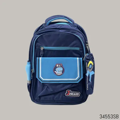 Buy Jincaizi Premium School Bag - Sky Blue in Bangladesh
