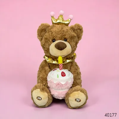Buy Premium Birthday Bear Toy with Voice & Play for Kids 3Y+ Funtime in Bangladesh